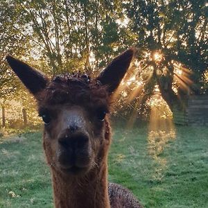 Aux murmures de la nature